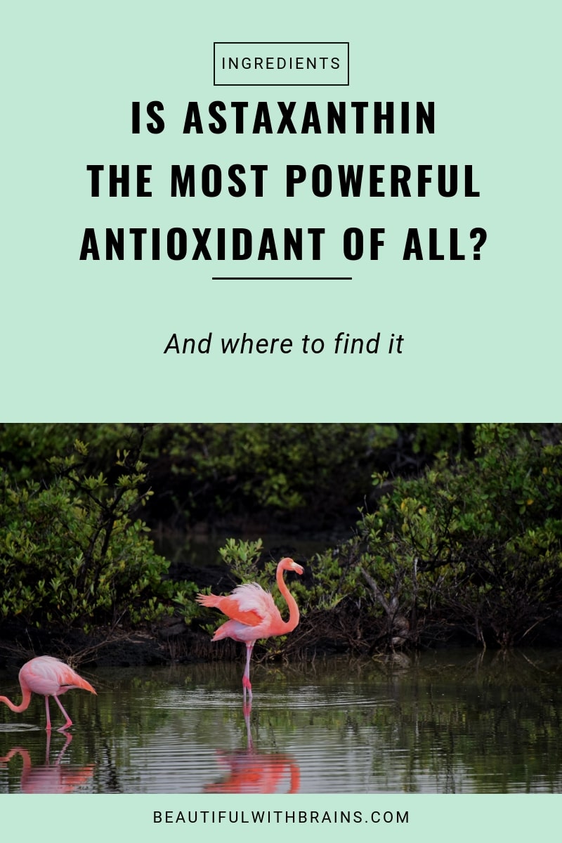 astaxanthin antioxidant benefits in skincare