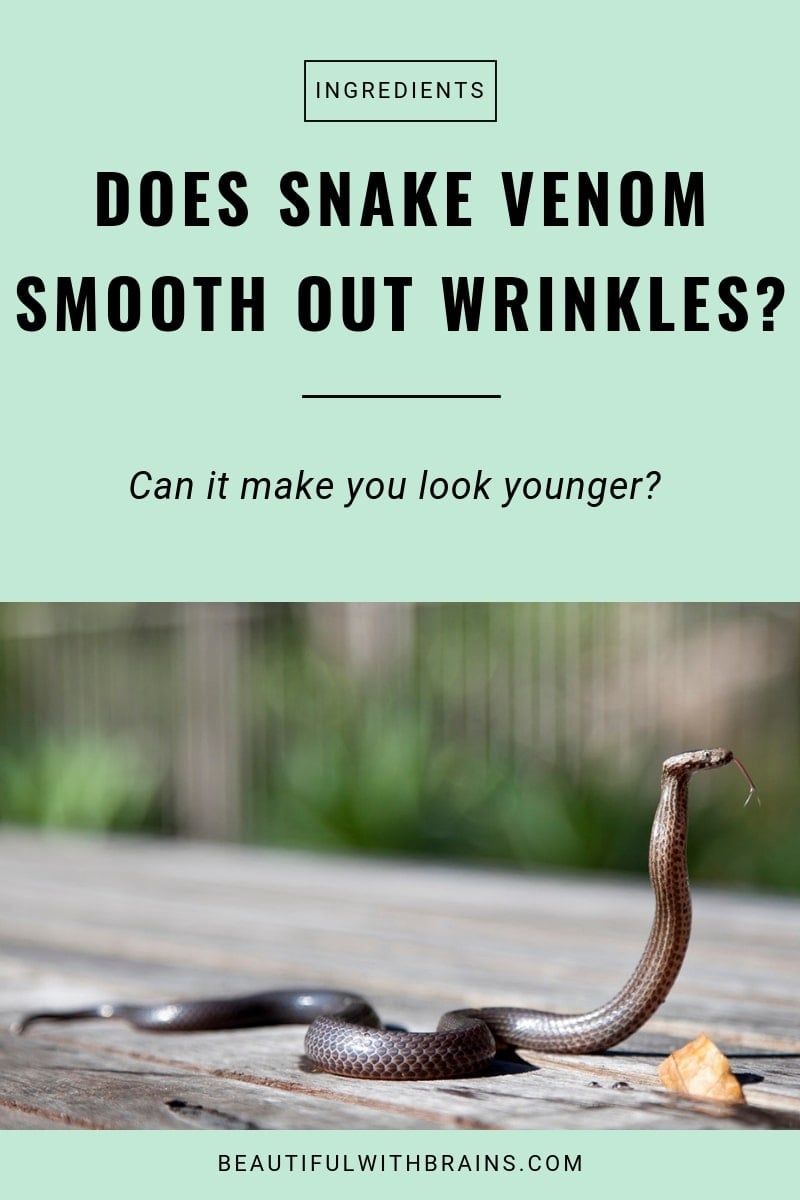 snake venom syn-ake in skincare
